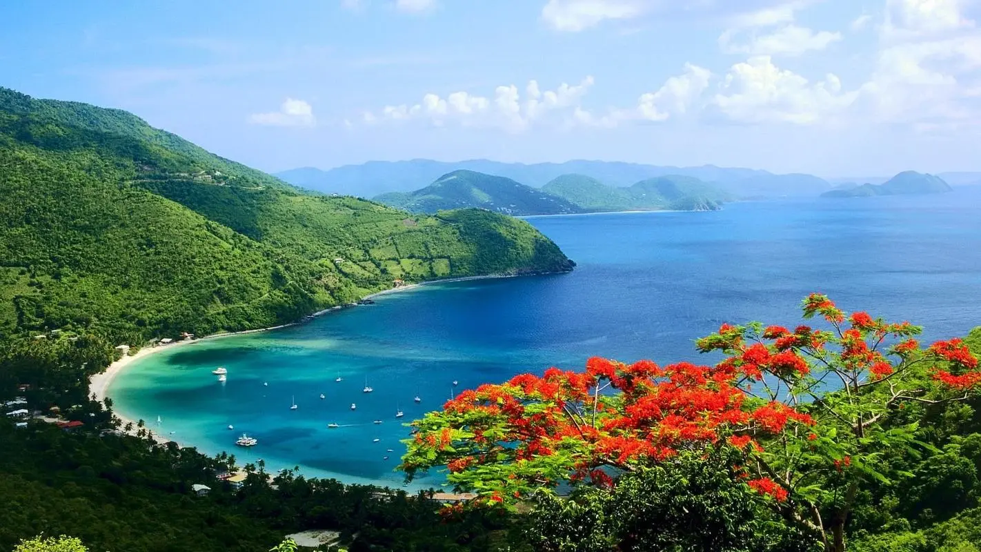 高精度绿色
